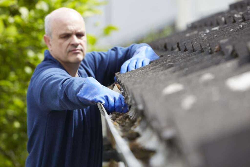 Homeowner Performing Home Maintenance, Painting